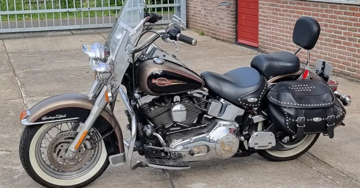 Harley-Davidson Chopper (2005) — foto 1