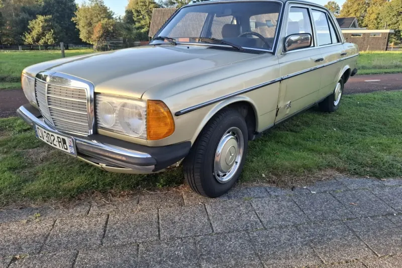Mercedes-Benz 200-Serie (1982)