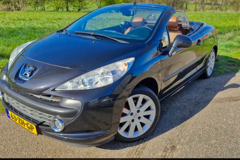 Peugeot 207 (2008)