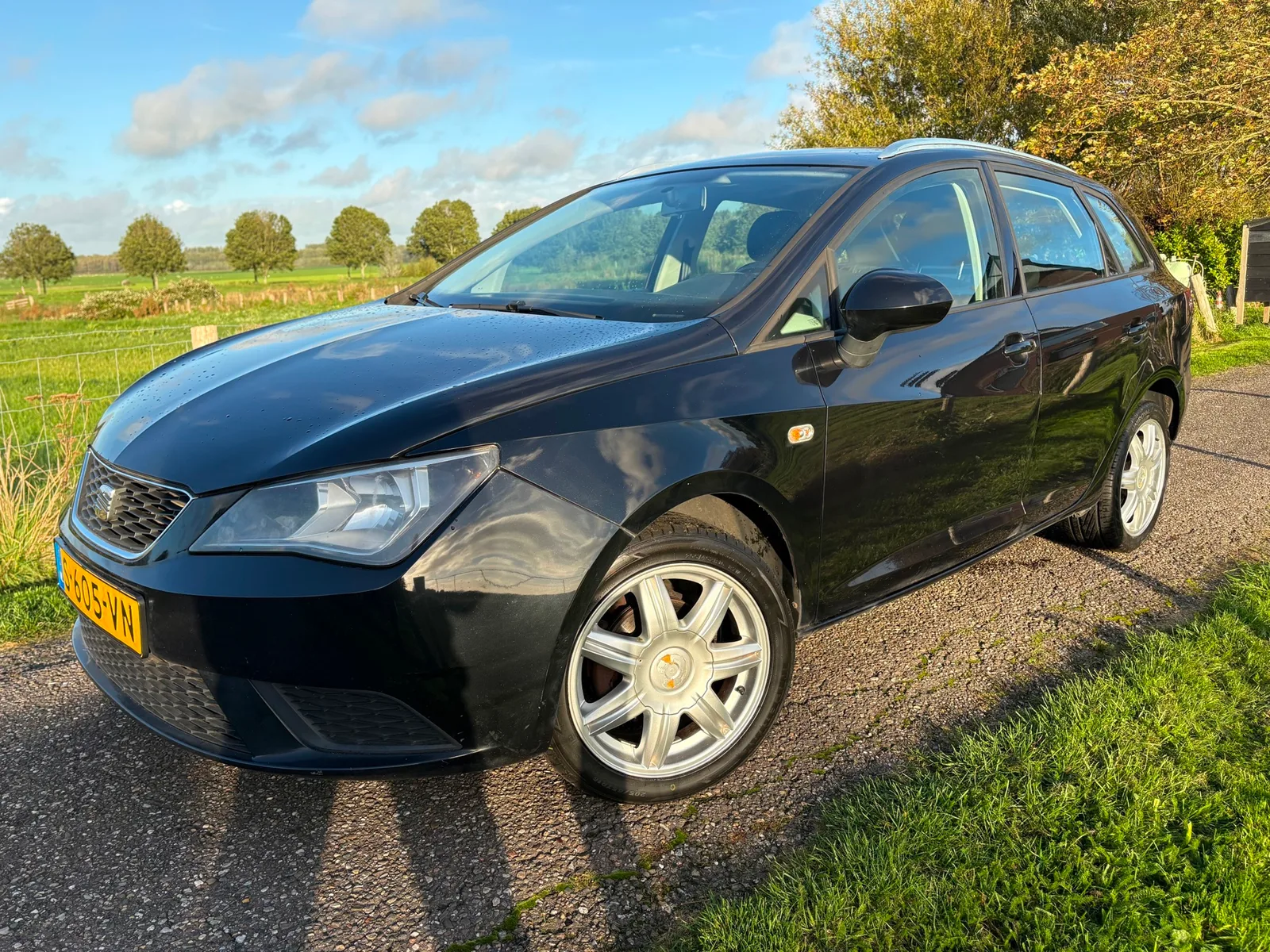 SEAT Ibiza (2012) — foto 1