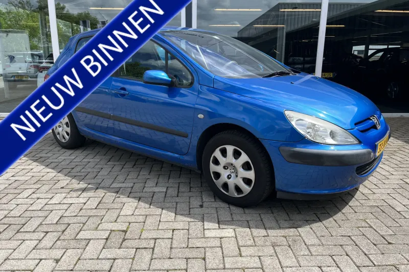 Peugeot 307 (2002)