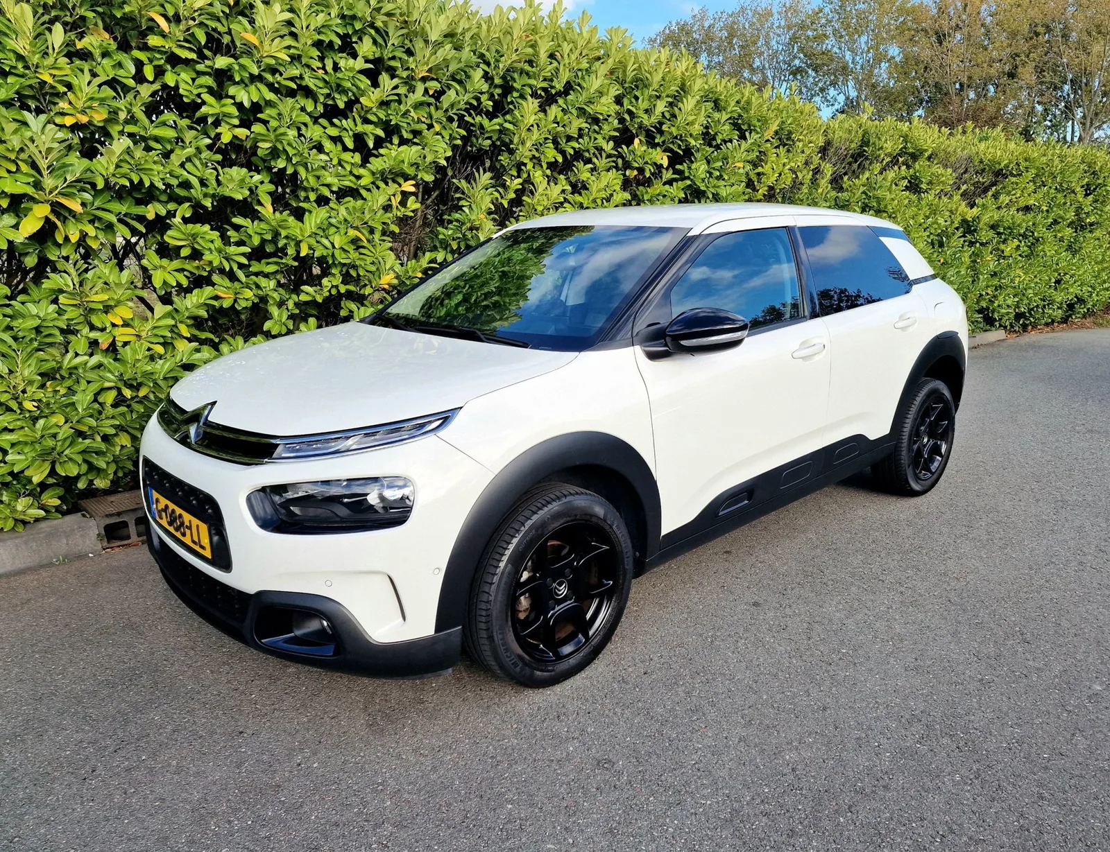 Citroën C4 Cactus (2019) — foto 1