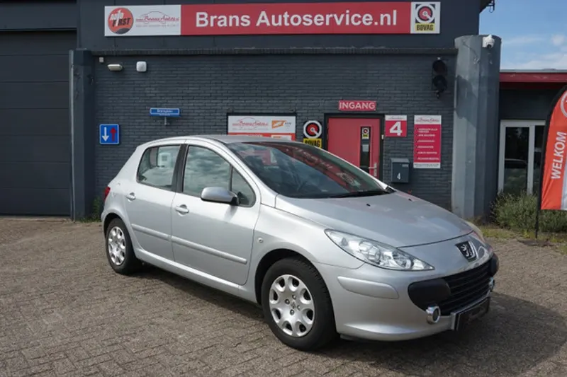 Peugeot 307 (2006)