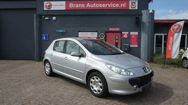 Peugeot 307 (2006) — foto 1