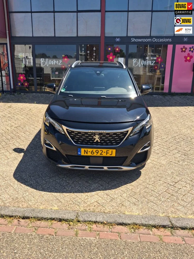 Peugeot 3008 (2017) — foto 1