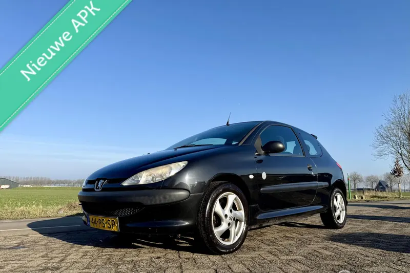 Peugeot 206 (2004)