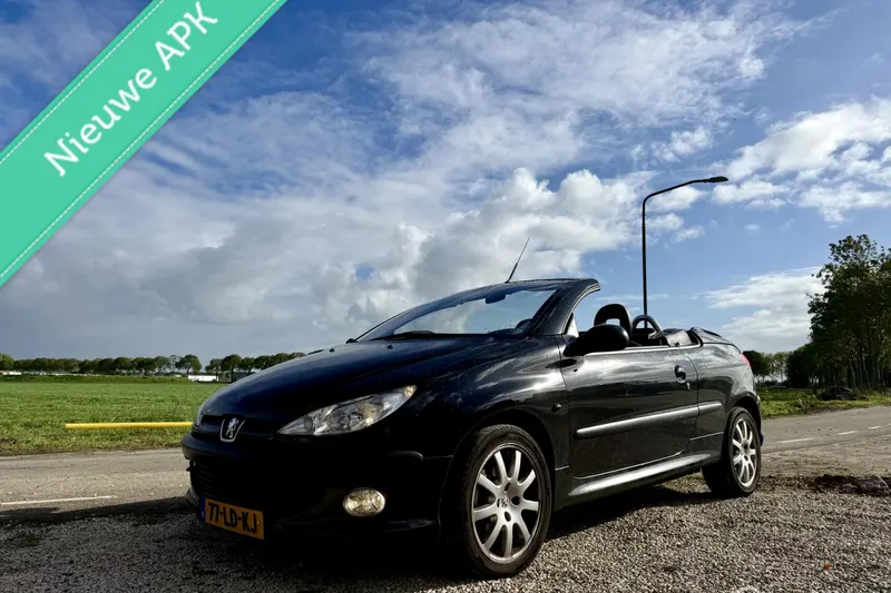 Peugeot 206 (2002)