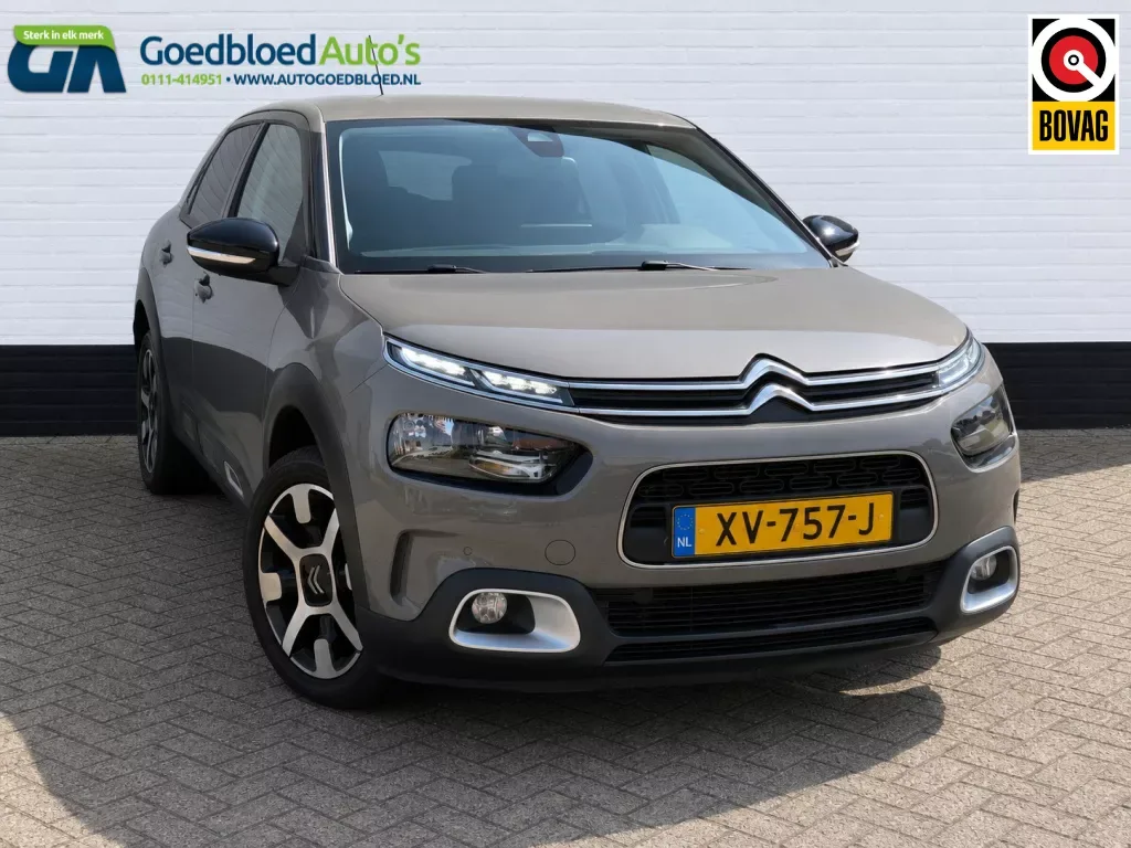 Citroën C4 Cactus (2018) — foto 1