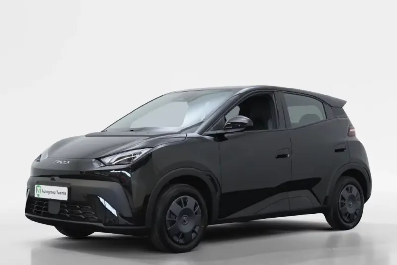 BYD Dolphin (2026)