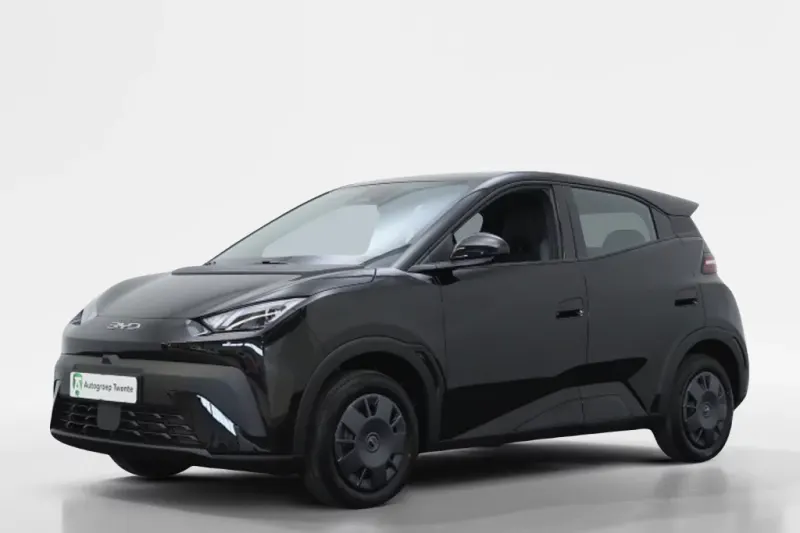 BYD Dolphin (2026)