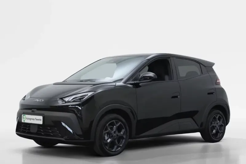 BYD Dolphin (2026)