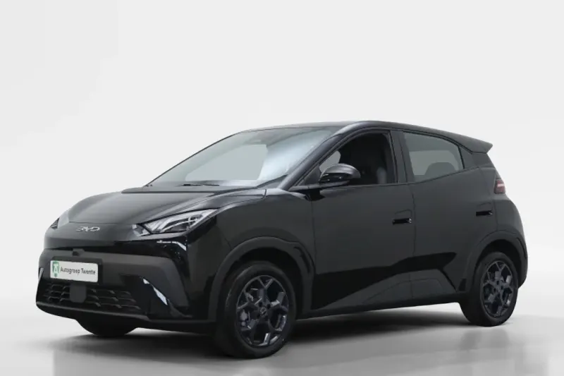 BYD Dolphin (2026)