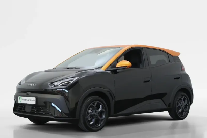 BYD Dolphin (2026)