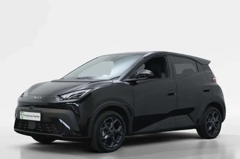 BYD Dolphin (2026)