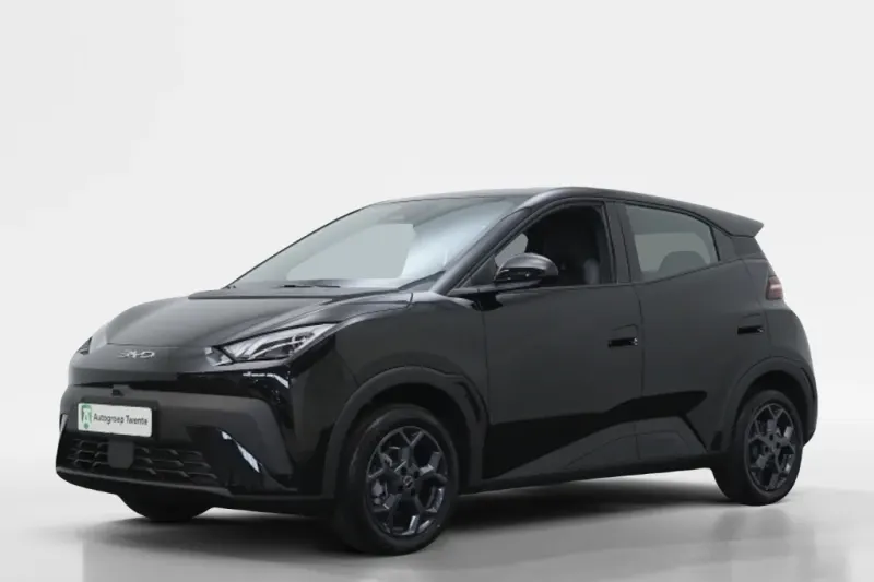 BYD Dolphin (2026)