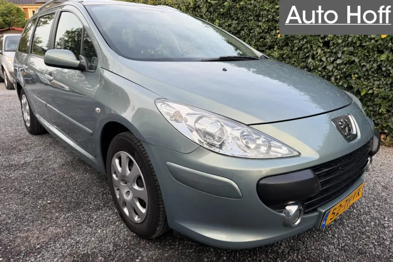 Peugeot 307 (2006)