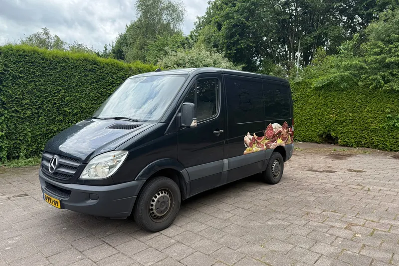 Mercedes-Benz Sprinter (2012)