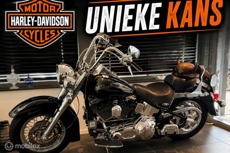 Harley-Davidson Heritage Softail 88 (2002)