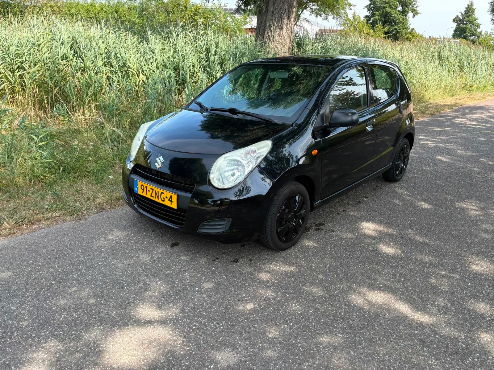 Suzuki Alto (2013) — foto 1
