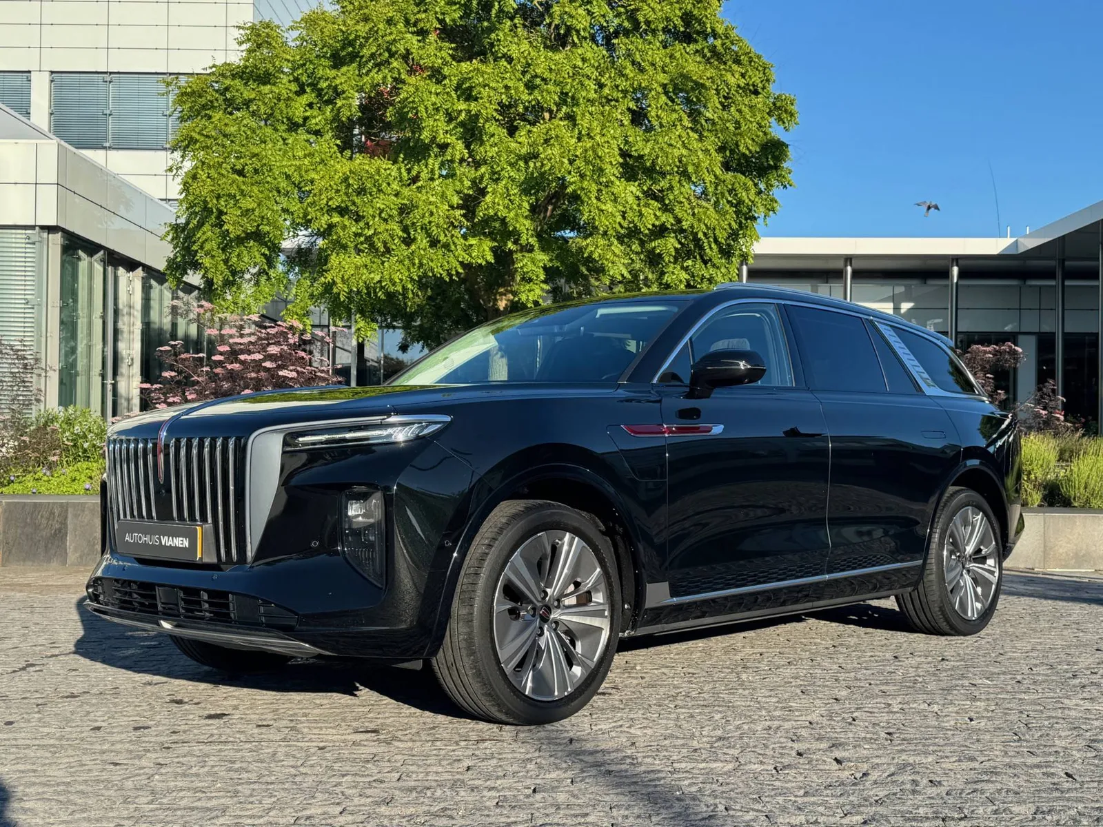 Hongqi E-HS9 (2023) — foto 1