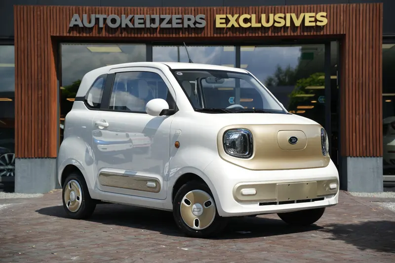 Bontu Mango (2026)