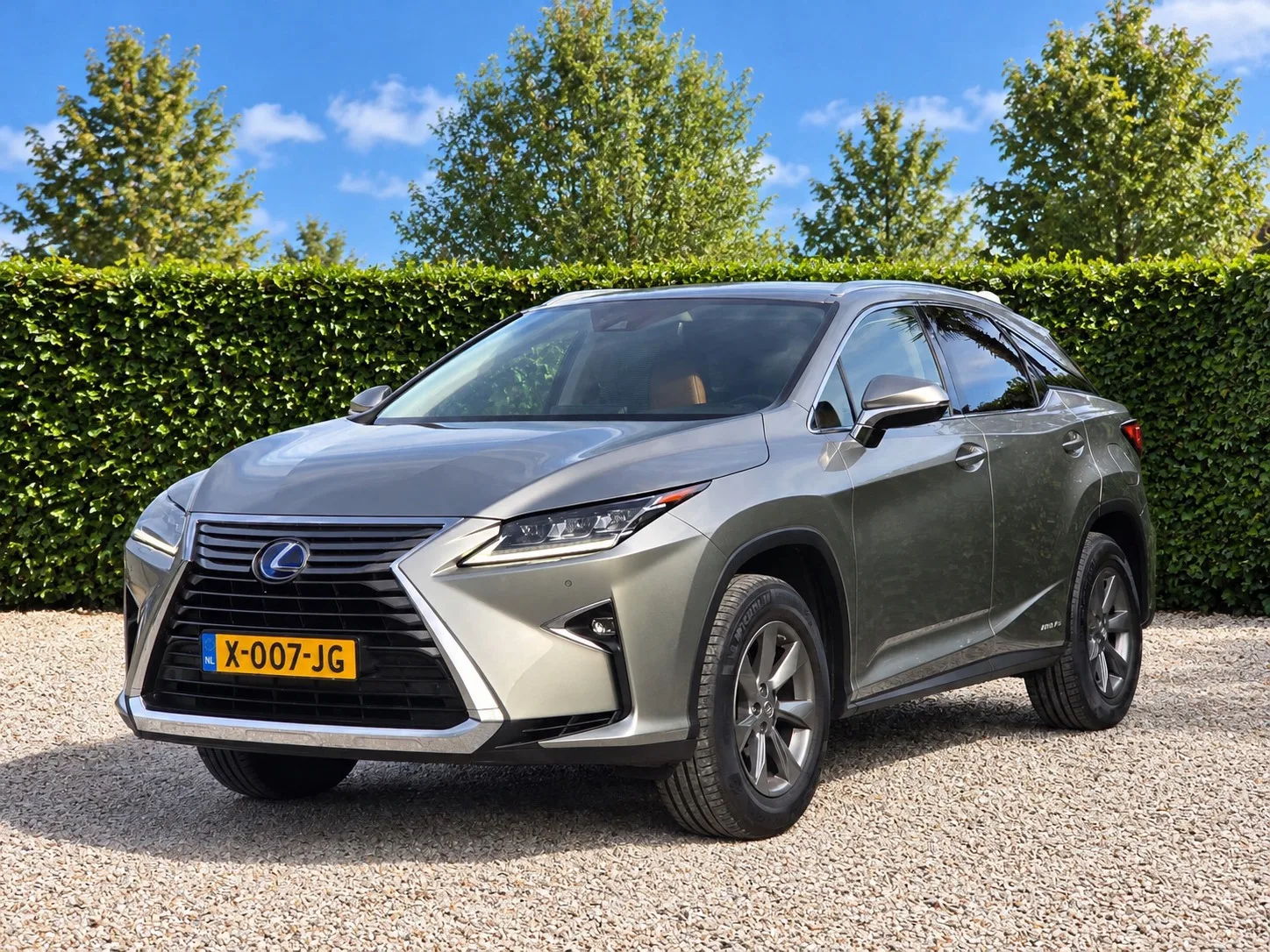 Lexus RX (2018) — foto 1