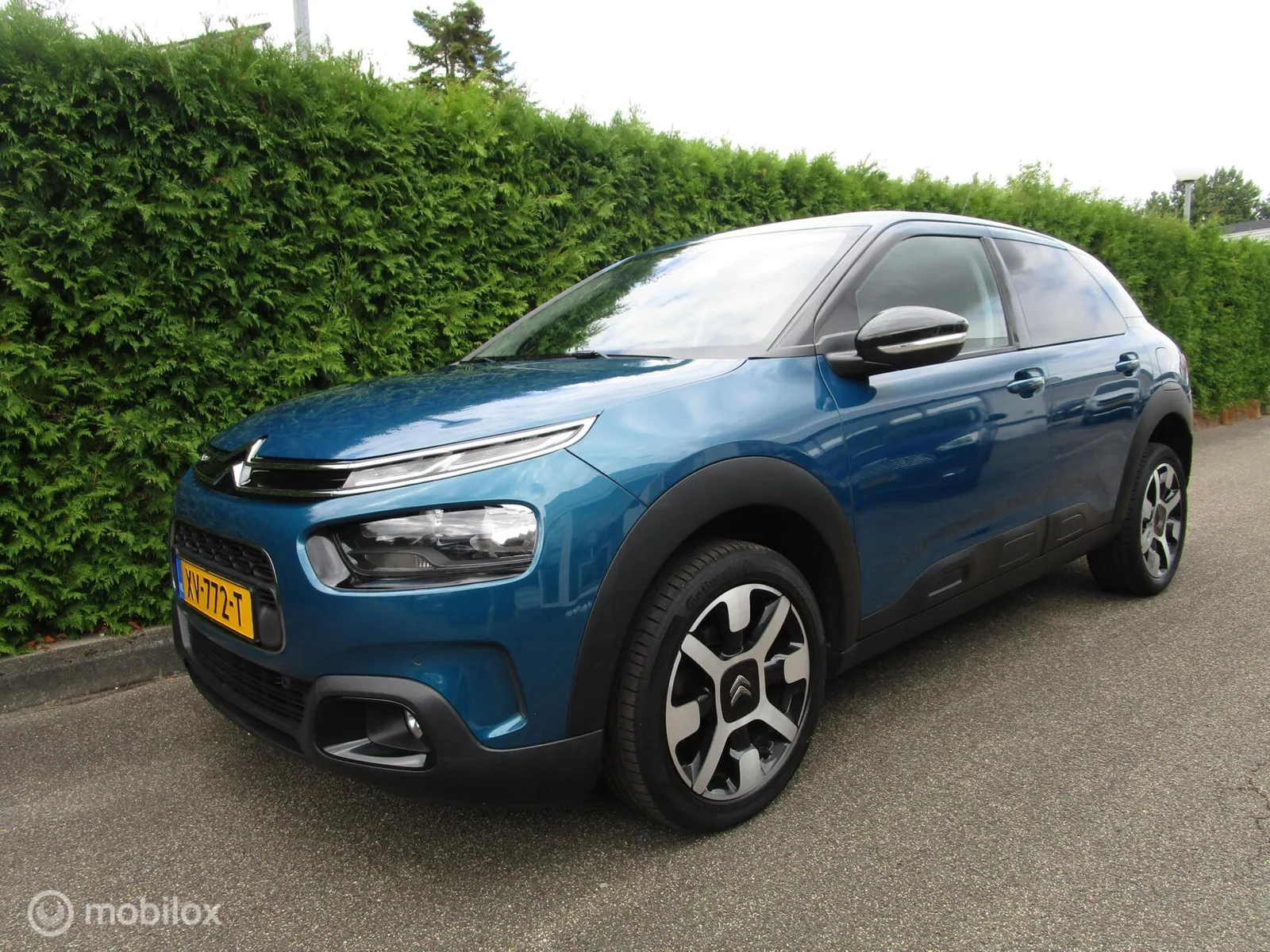 Citroën C4 Cactus (2019) — foto 1