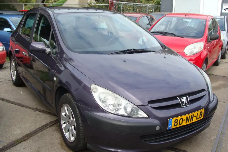 Peugeot 307 (2004)