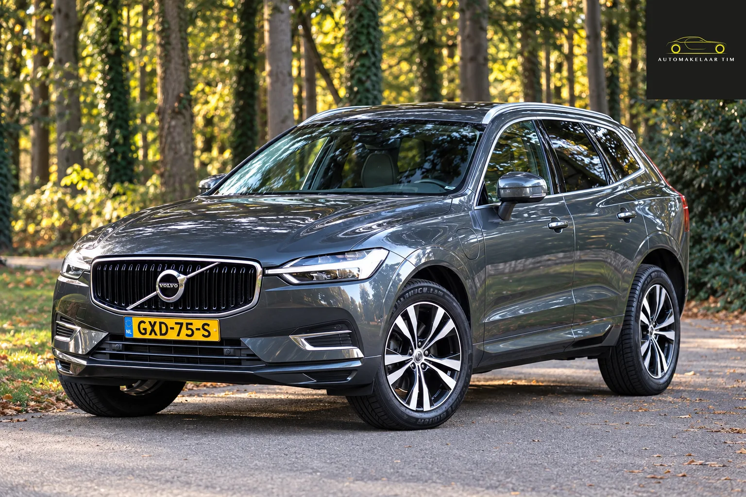 Volvo XC60 (2019) — foto 1