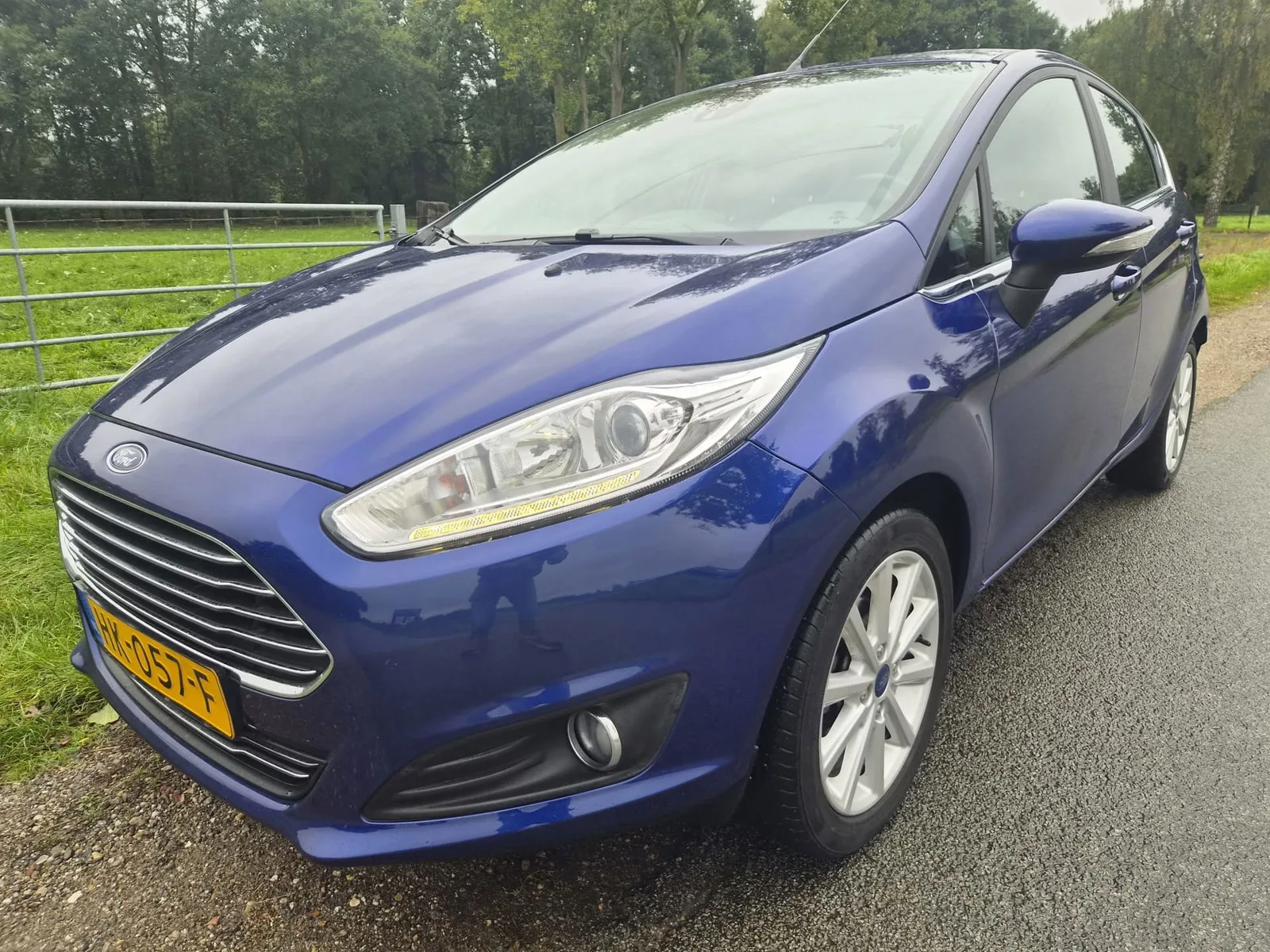 Ford Fiesta (2015) — foto 1
