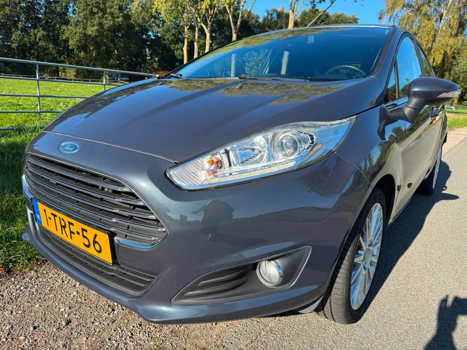Ford Fiesta (2014) — foto 1