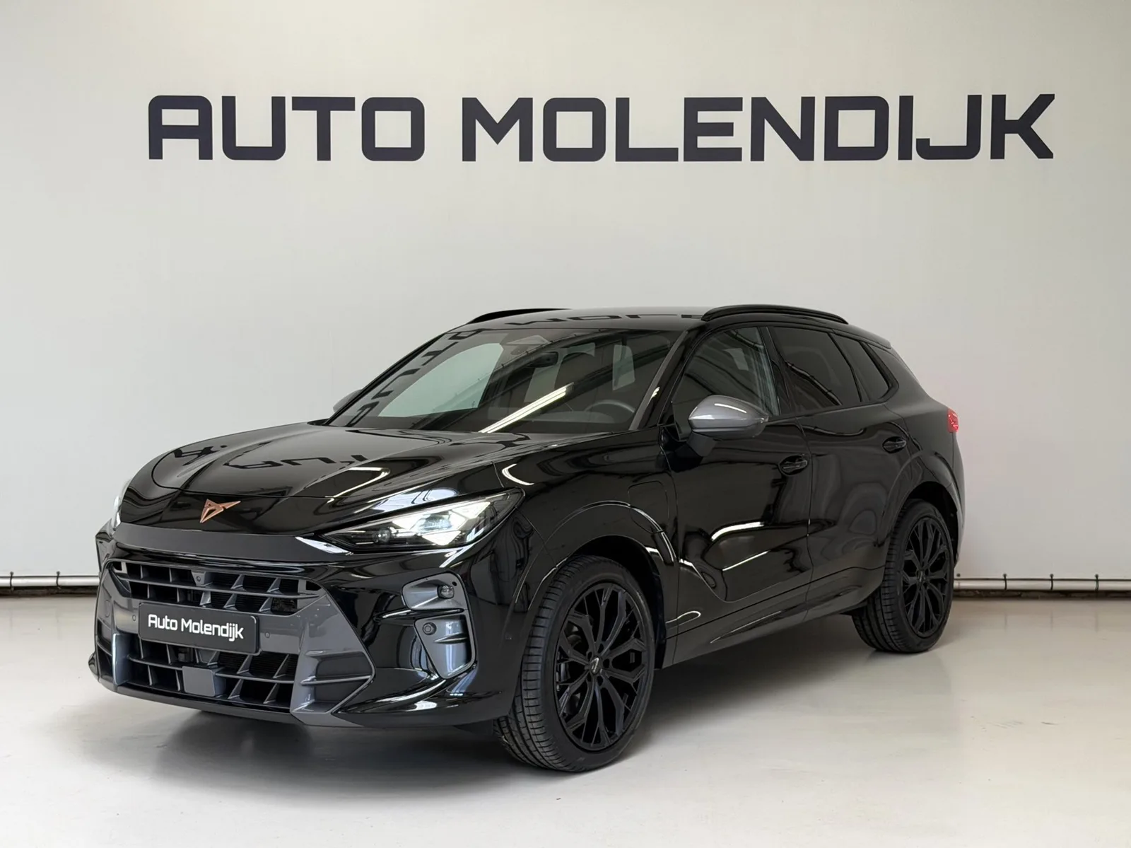 CUPRA Terramar (2025) — foto 1