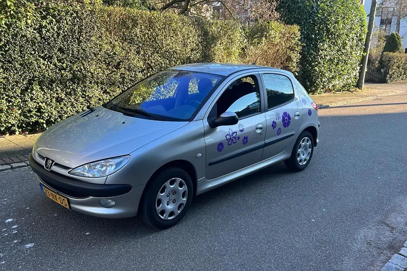 Peugeot 206 (2004)