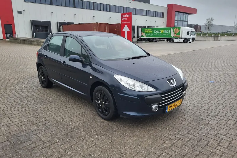 Peugeot 307 (2006)