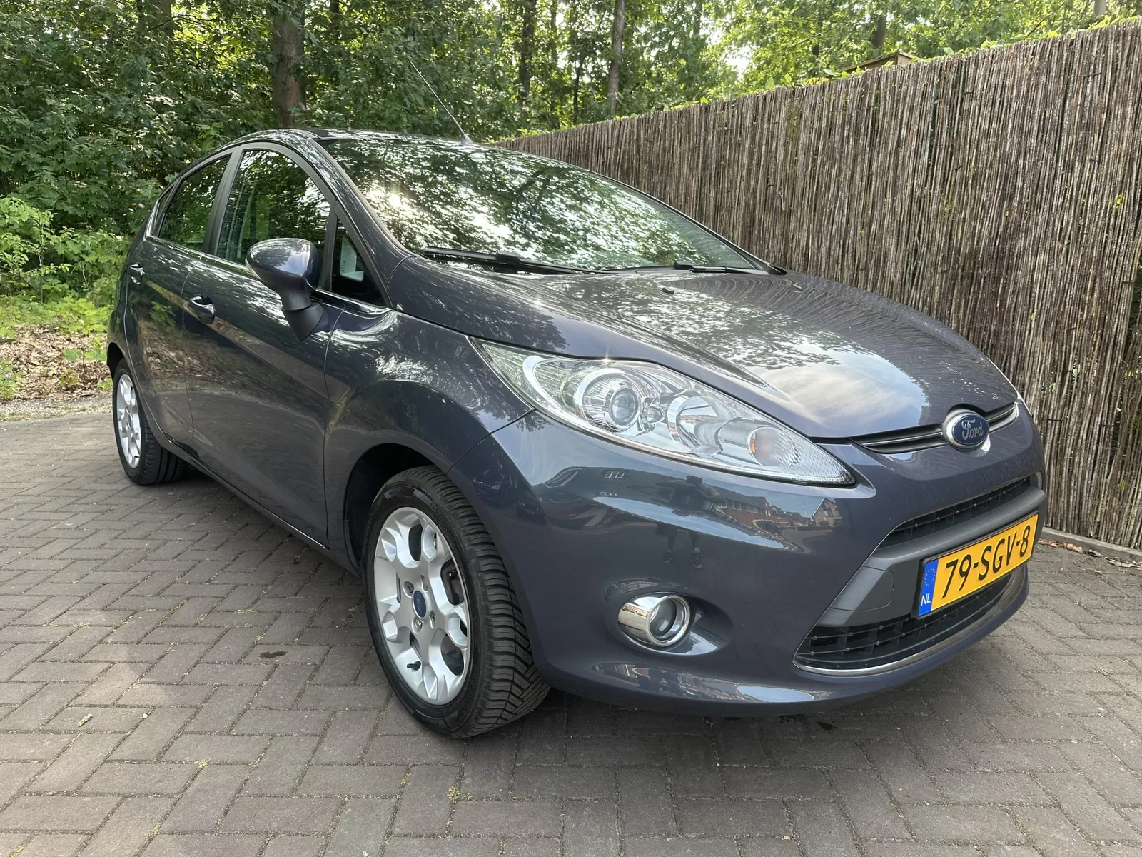 Ford Fiesta (2011) — foto 1