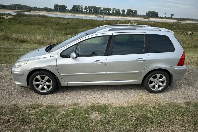 Peugeot 307 (2006)