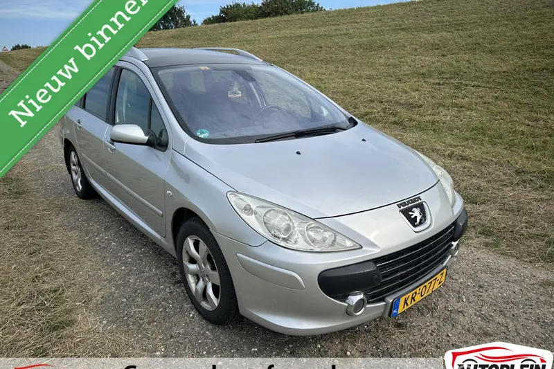 Peugeot 307 (2006)