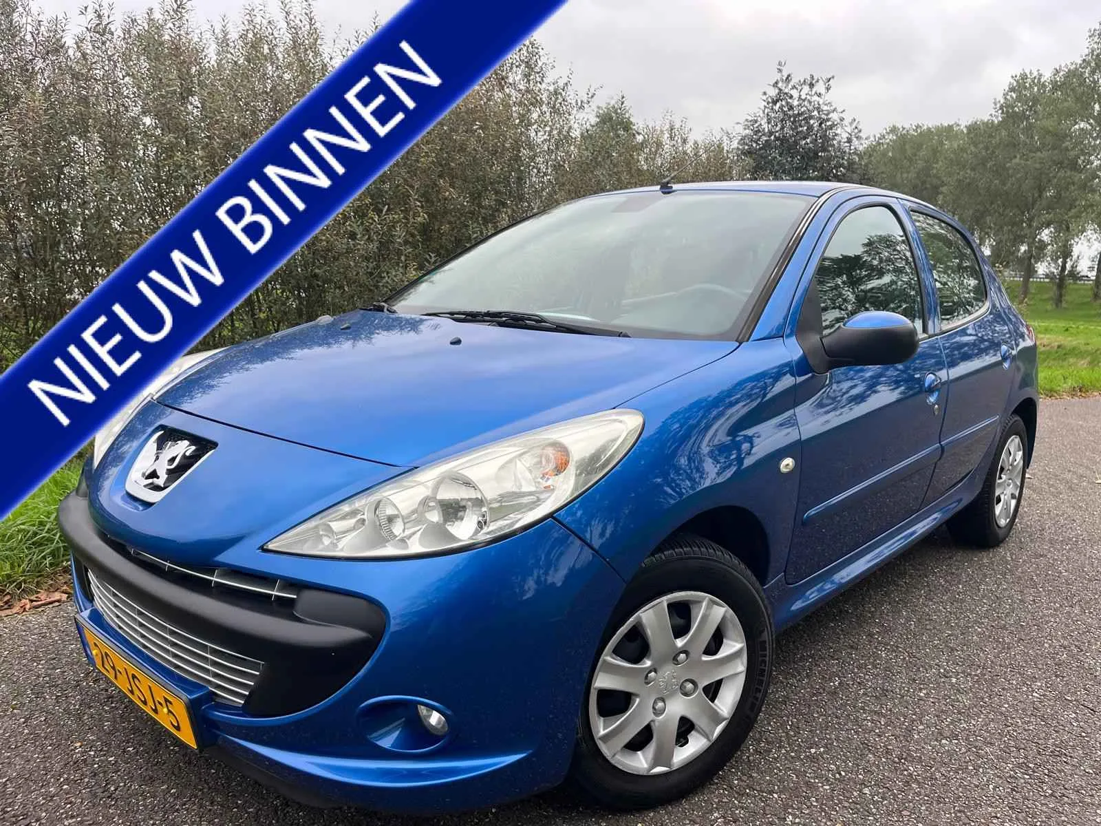 Peugeot 206+ (2009) — foto 1