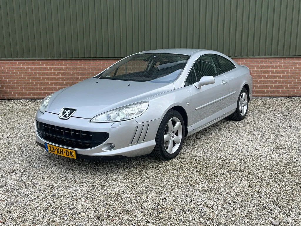 Peugeot 407 (2007) — foto 1