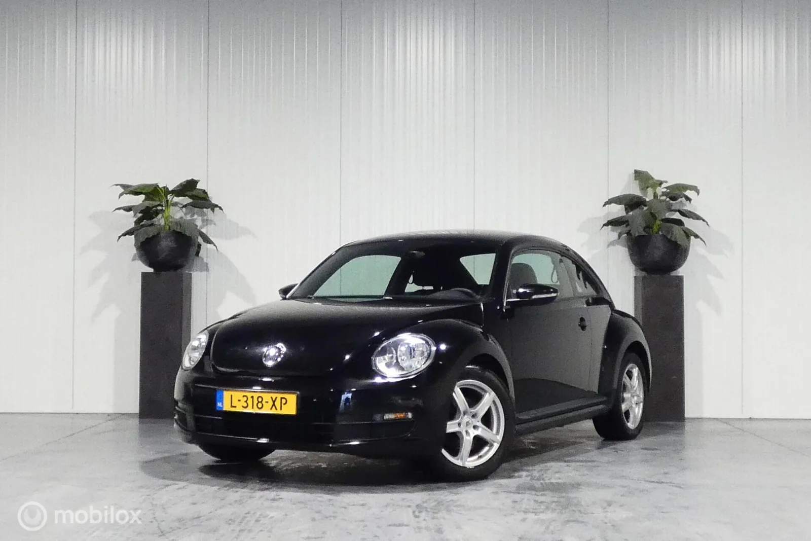 Volkswagen Beetle (2014) — foto 1