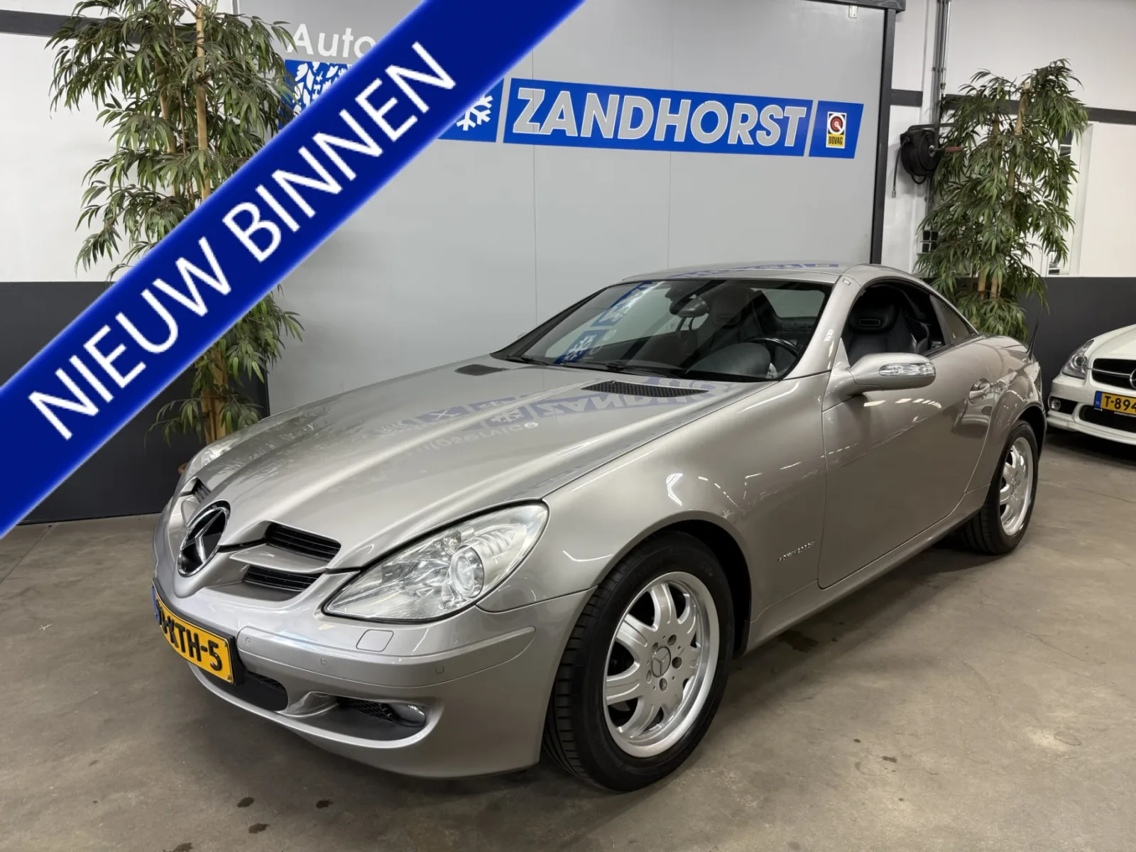 Mercedes-Benz SLK-Klasse (2006) — foto 1