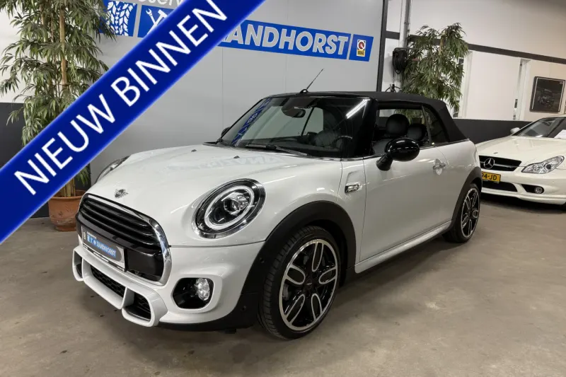 MINI Cabrio (2019)