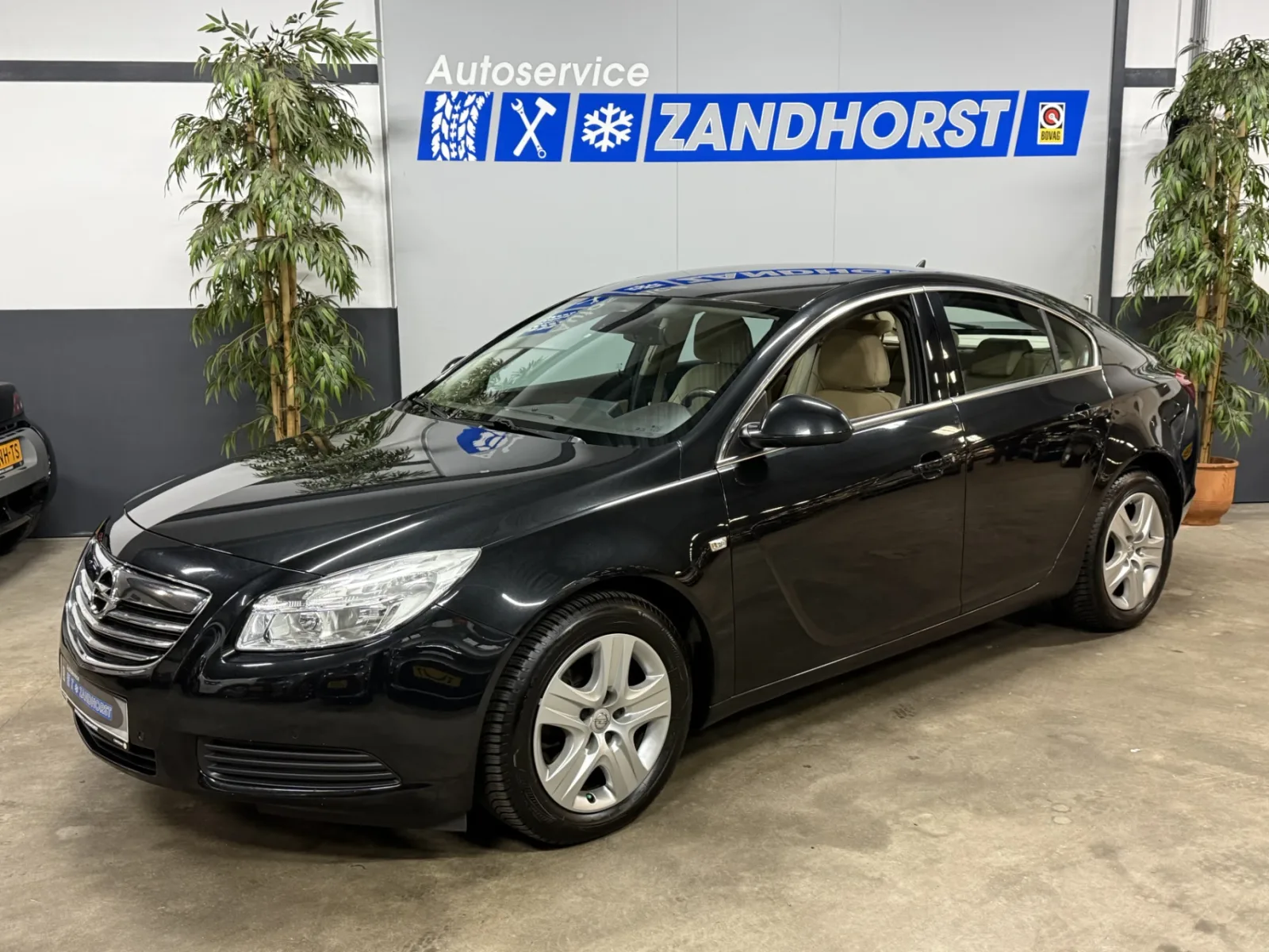 Opel Insignia (2010) — foto 1