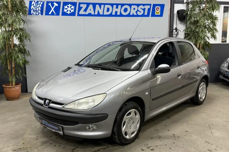 Peugeot 206 (2002)