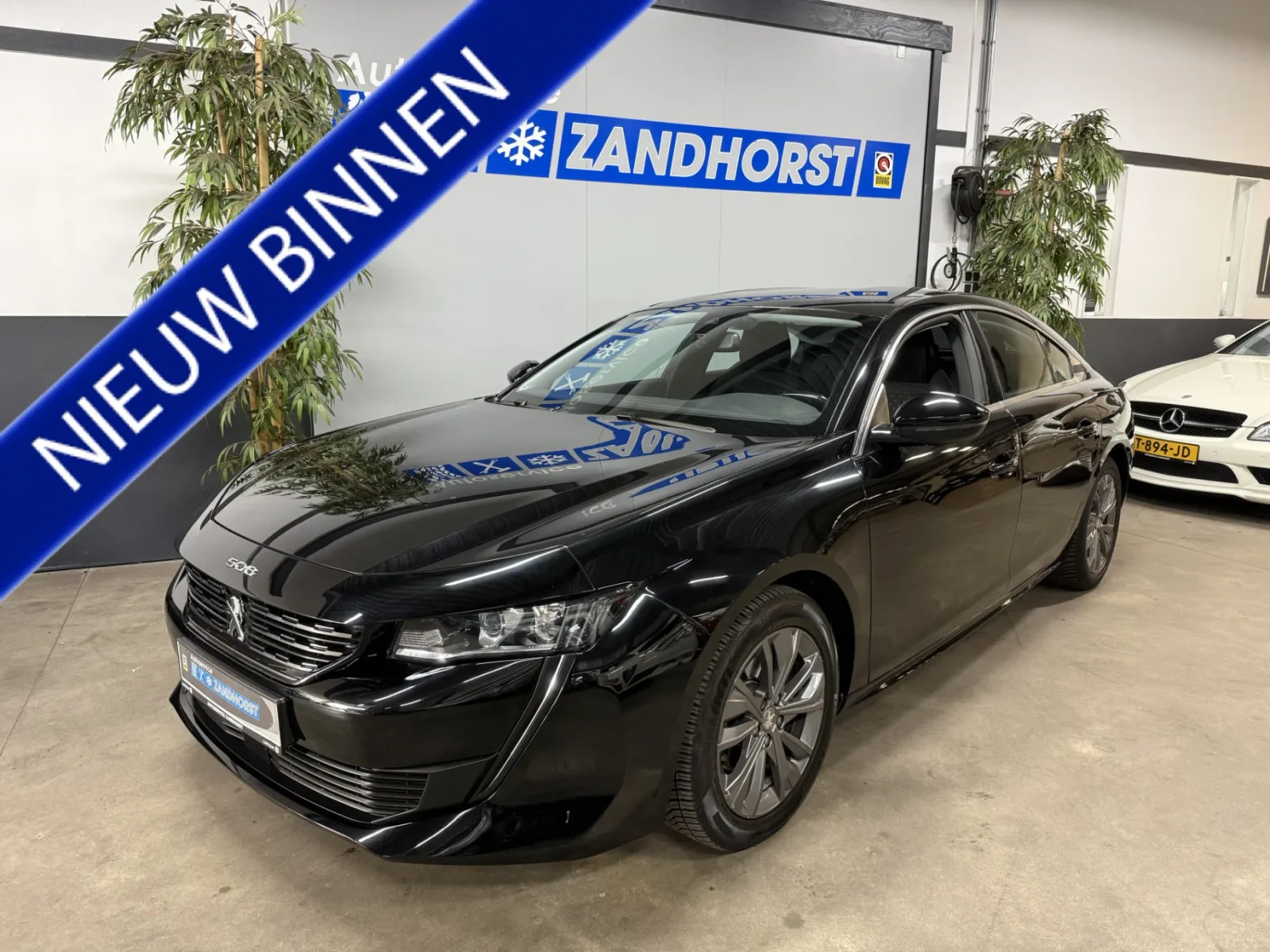 Peugeot 508 (2019) — foto 1