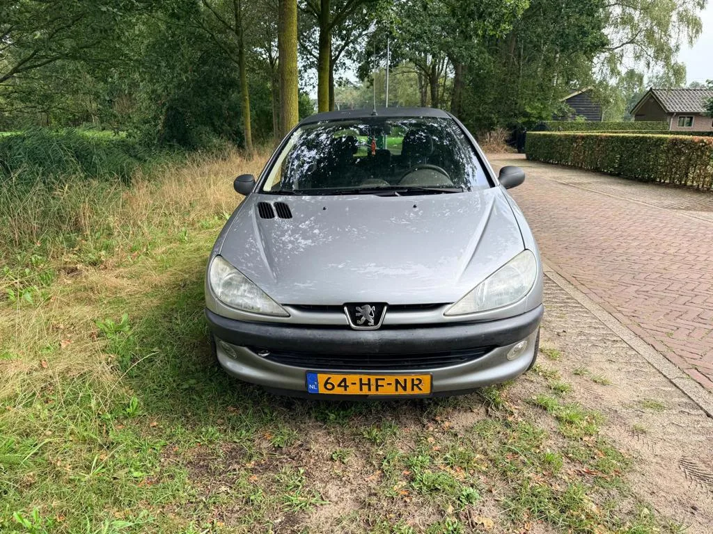 Peugeot 206 (2001) — foto 1