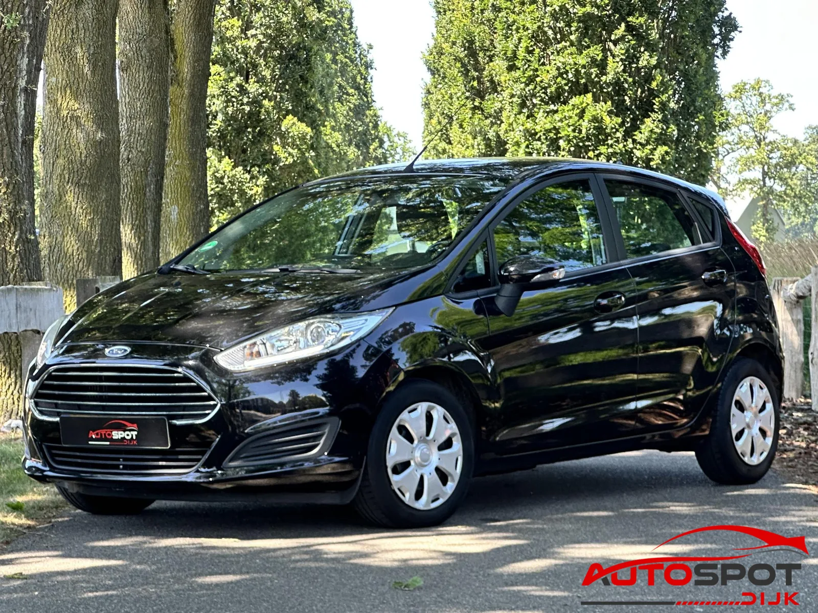 Ford Fiesta (2015) — foto 1