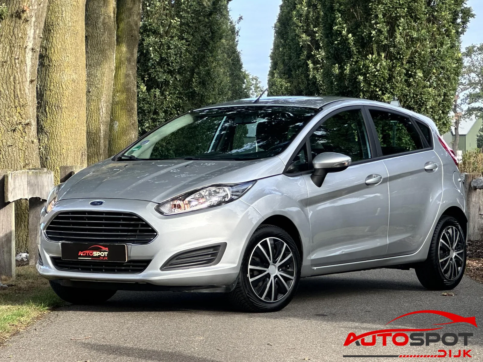 Ford Fiesta (2014) — foto 1