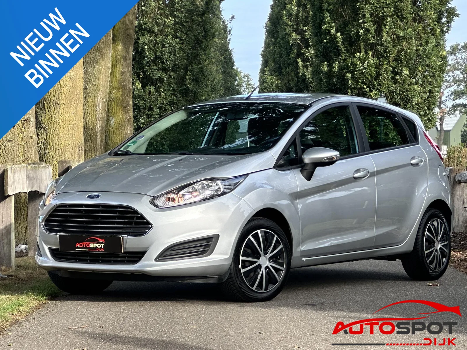 Ford Fiesta (2014) — foto 1