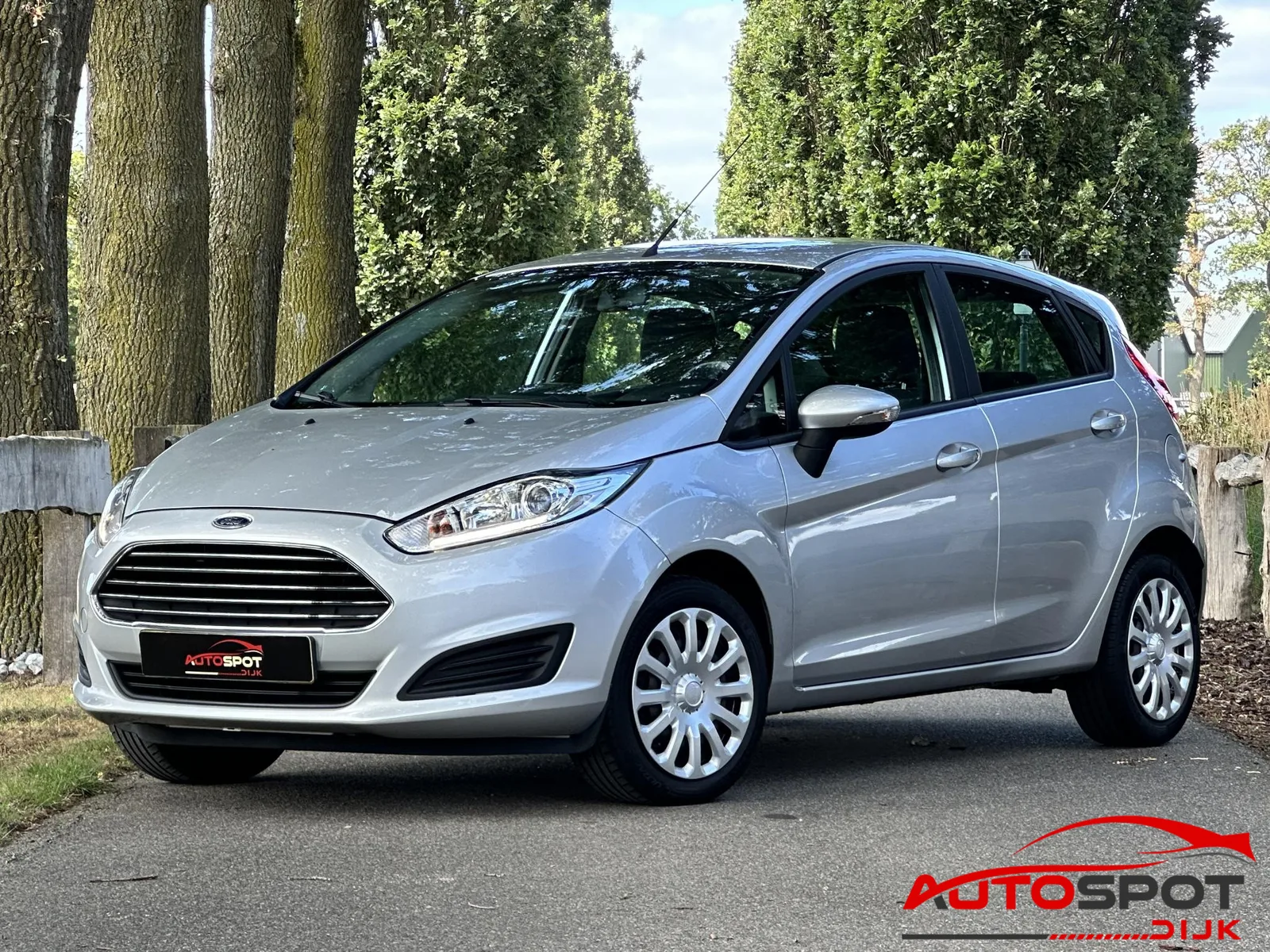 Ford Fiesta (2015) — foto 1